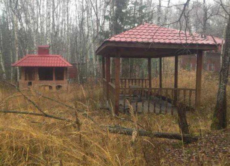 ДОЛ Космос: Вид территории